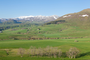 Déménageur Cournon-d'Auvergne